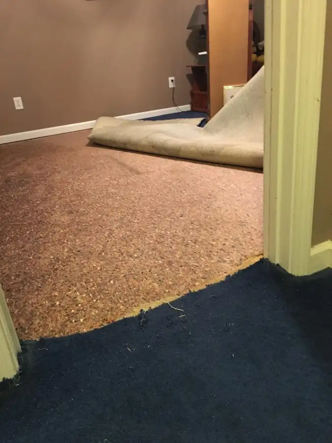 Carpet pad removal revealing water damage during Water Mitigation Services in Leesylvania