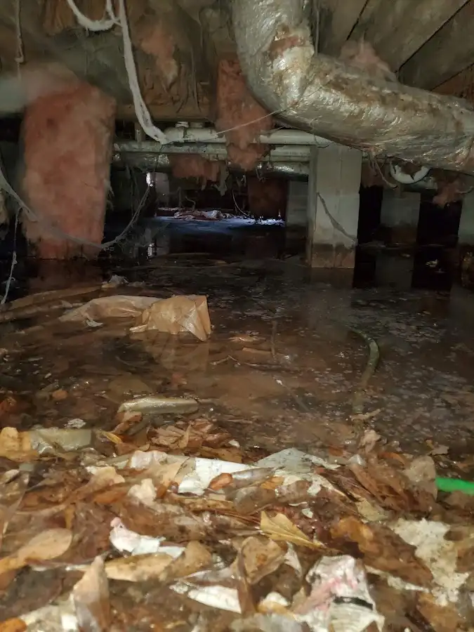 Crawl space flood assessment for Leak Detection & Repair in Leesylvania