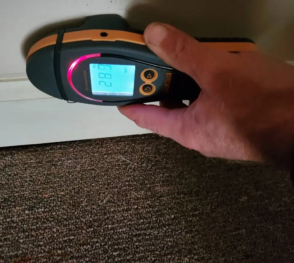 Moisture detection at baseboard during Mold Inspection & Testing in Leesylvania